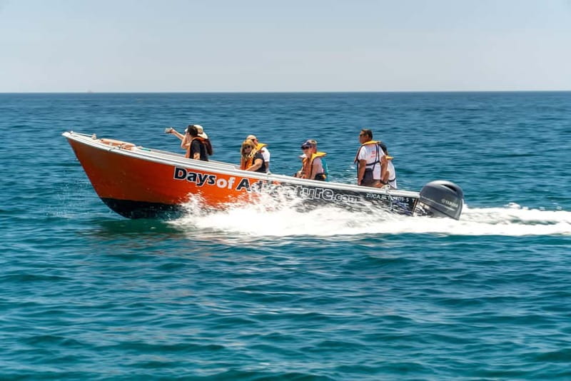 Lagos: Ponta da Piedade Caves Boat Tour - What the Ride Feels Like