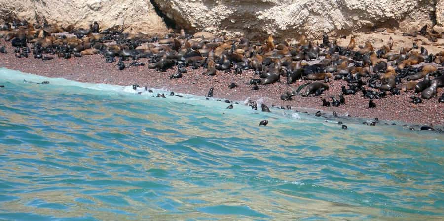 Lagos/Praia da Luz: Wine Tour, Tastings, Tapas, and Music - Useful planning details before you book