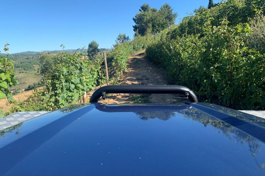 Lamego: Quinta da Portela de Baixo Winery Tour and Tasting - What the experience does especially well