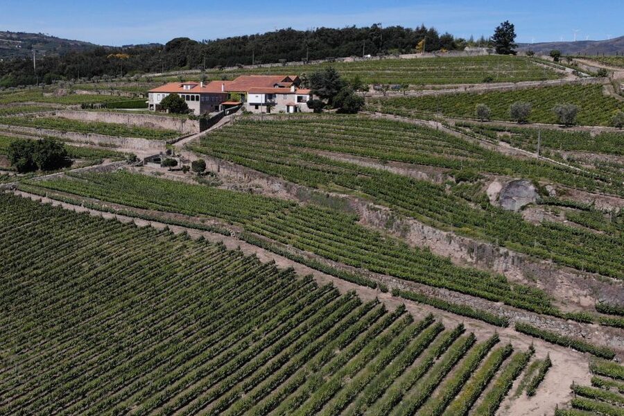 Lamego: Quinta da Portela de Baixo Winery Tour and Tasting - Where the visit may fall short
