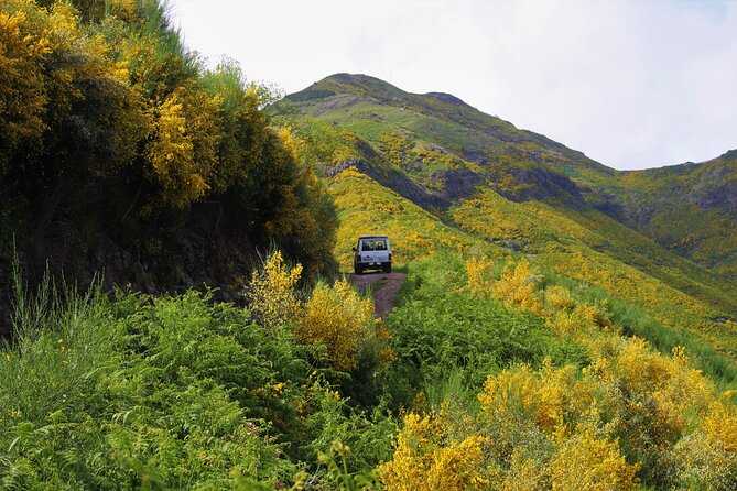 Let-Me-Surprise-You Private Full-Day Tour in All Terrain Vehicle - From mountain peaks to Madeira’s north coast