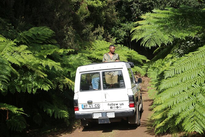 Let-Me-Surprise-You Private Full-Day Tour in All Terrain Vehicle - Forest tracks, plantations, and old roads