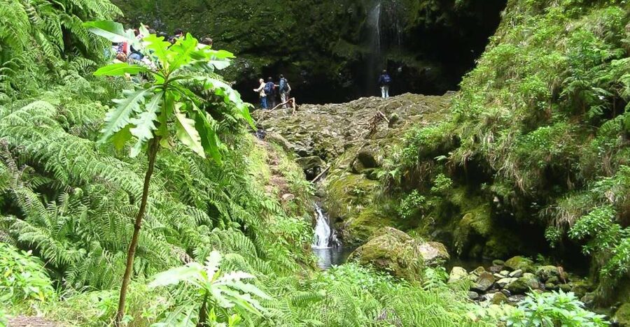 Levada Walk and Caldeirao Verde Waterfalls: Madeira - Key points to know before you book