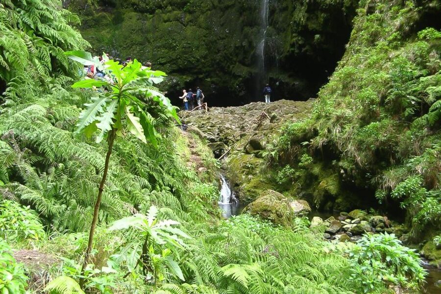 Levada Walk and Caldeirao Verde Waterfalls: Madeira - Tunnels, narrow paths, and cliff edges