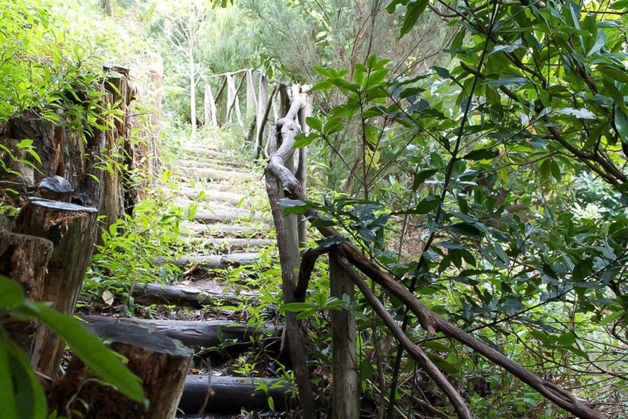 Levada Walk and Caldeirao Verde Waterfalls: Madeira - Reaching Caldeirão Verde waterfall