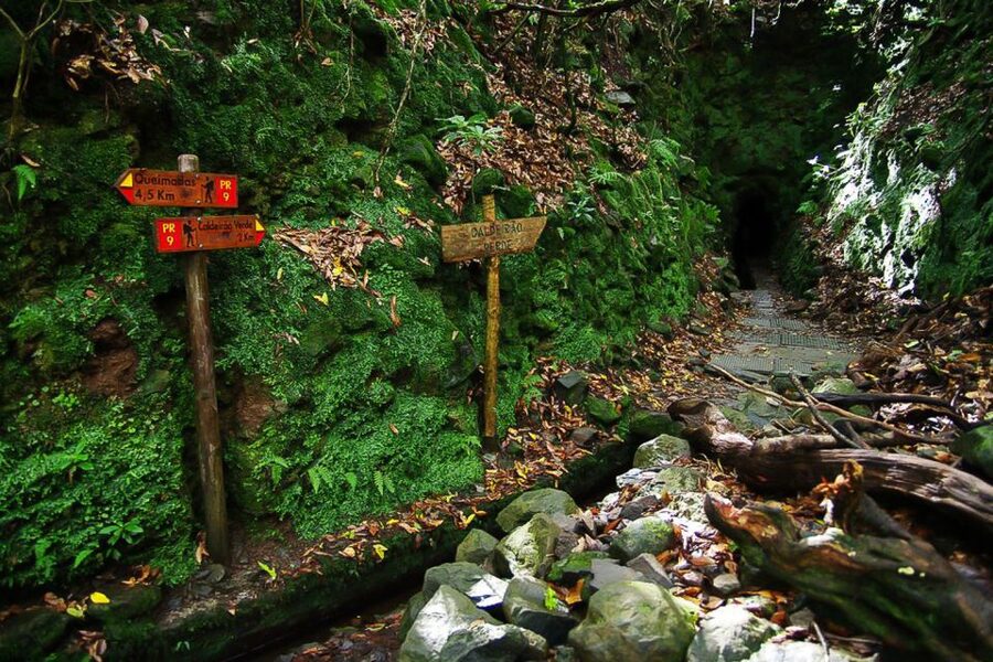 Levada Walk and Caldeirao Verde Waterfalls: Madeira - Guide quality and group experience