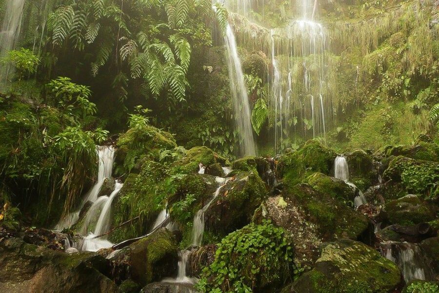 Levada Walk and Caldeirao Verde Waterfalls: Madeira - Following the levada through the Laurisilva