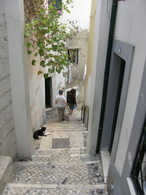 Lisbon: Alfama and São Jorge Castle Quarters Walking Tour - Finding Roman Olisipo at the Cetária