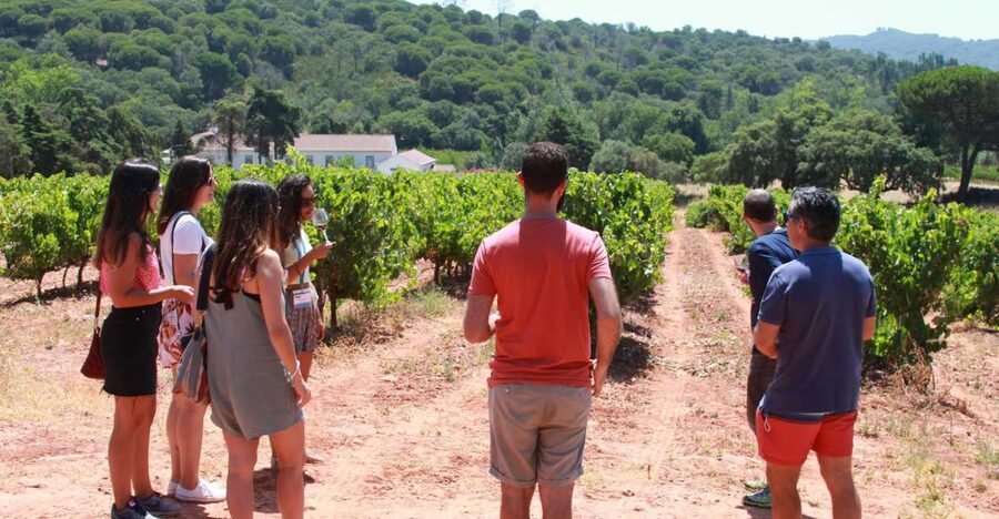Lisbon: Arrábida and Sesimbra Day Trip with Wine - Key points to know before booking