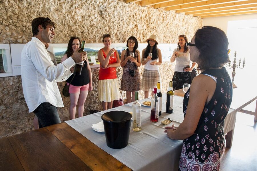 Lisbon: Arrábida and Sesimbra Day Trip with Wine - What $75 includes, and what it does not