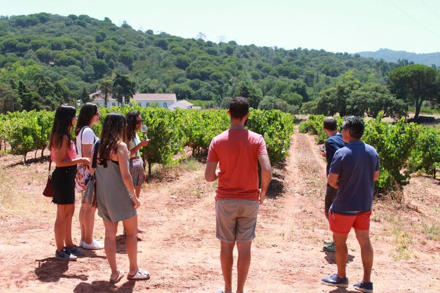 Lisbon: Arrábida and Sesimbra Day Trip with Wine - Palmela, castle views, and the first taste