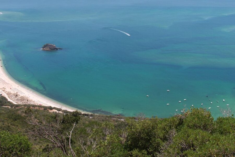 Lisbon: Arrábida and Sesimbra Day Trip with Wine - A family-run estate with a more personal feel