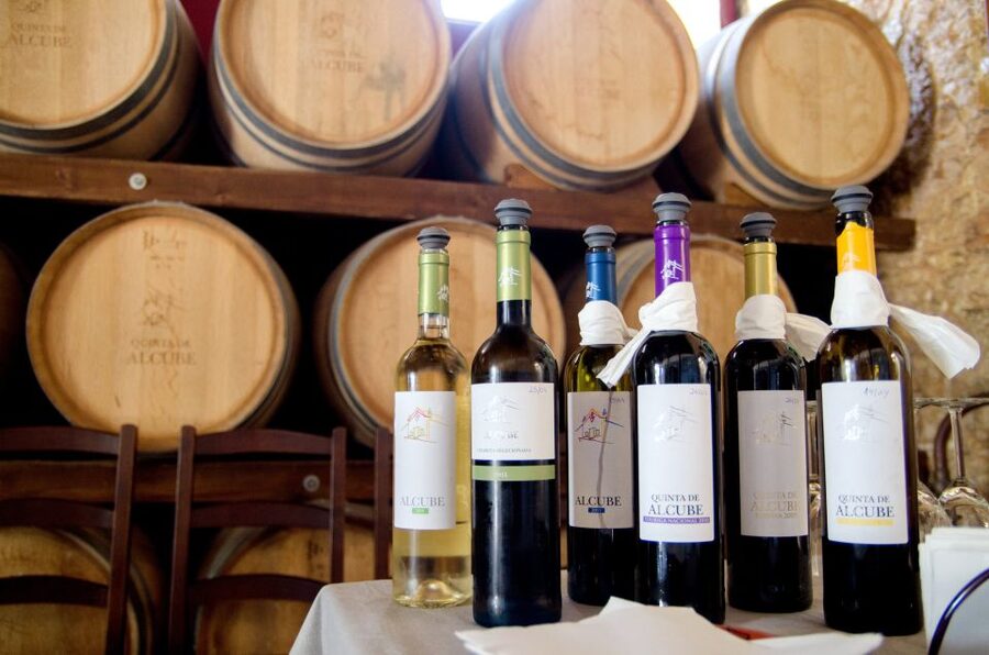Lisbon: Arrábida and Sesimbra Day Trip with Wine - José Maria da Fonseca in Azeitão