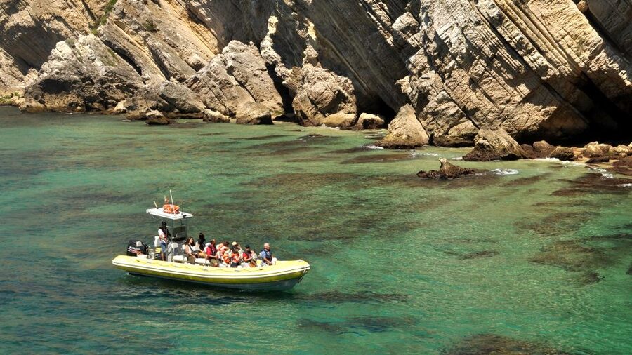 Lisbon: Arrábida Natural Park Dolphin Watching Boat Tour - Arrábida’s beaches, rocks, and coastal caves