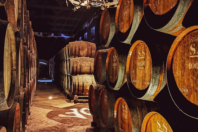 Lisbon: Arrábida & Sesimbra Tour – Wine, Nature & Beaches - Arrábida Natural Park is the visual high point