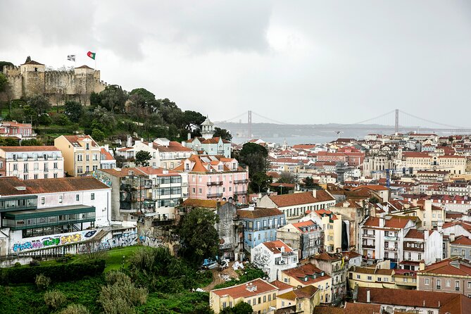 Lisbon Awakens: A Culinary Crossroads, Reborn. - Custard tarts in Jardim da Parada