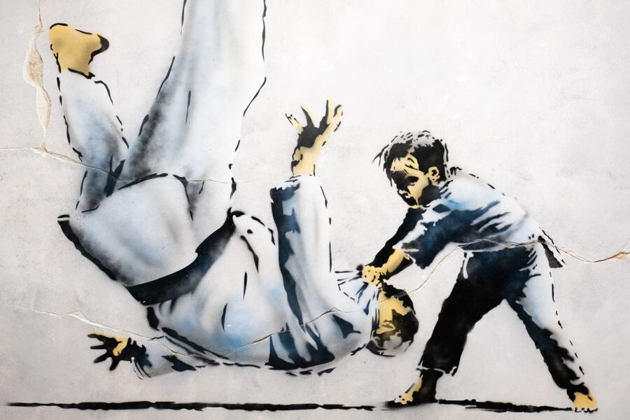 Lisbon: Banksy Museum Permanent Exhibition Entry Ticket - Who will enjoy this Lisbon exhibition?