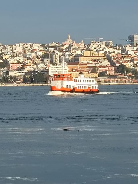 Lisbon: Belem, Jeronimos Monastery, and Coach Museum Tour - The National Coach Museum, an unexpected highlight