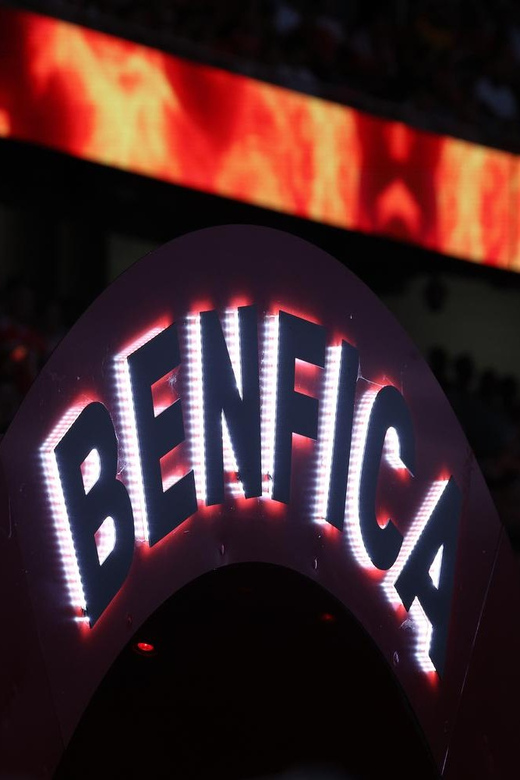 Lisbon: Benfica Luz Stadium Tour with Souvenir Scarf - Stepping onto the Luz pitch