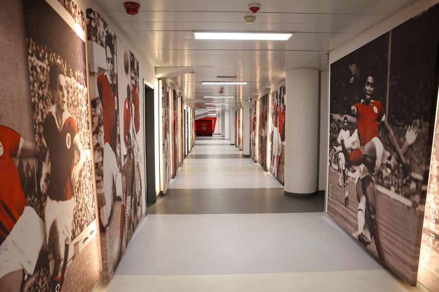 Lisbon: Benfica Luz Stadium Tour with Souvenir Scarf - Is the $18 price good value?