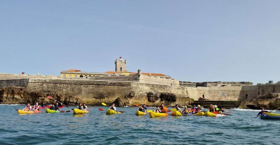 Lisbon: Coast Guided Kayak Tour - Key points to know before you paddle