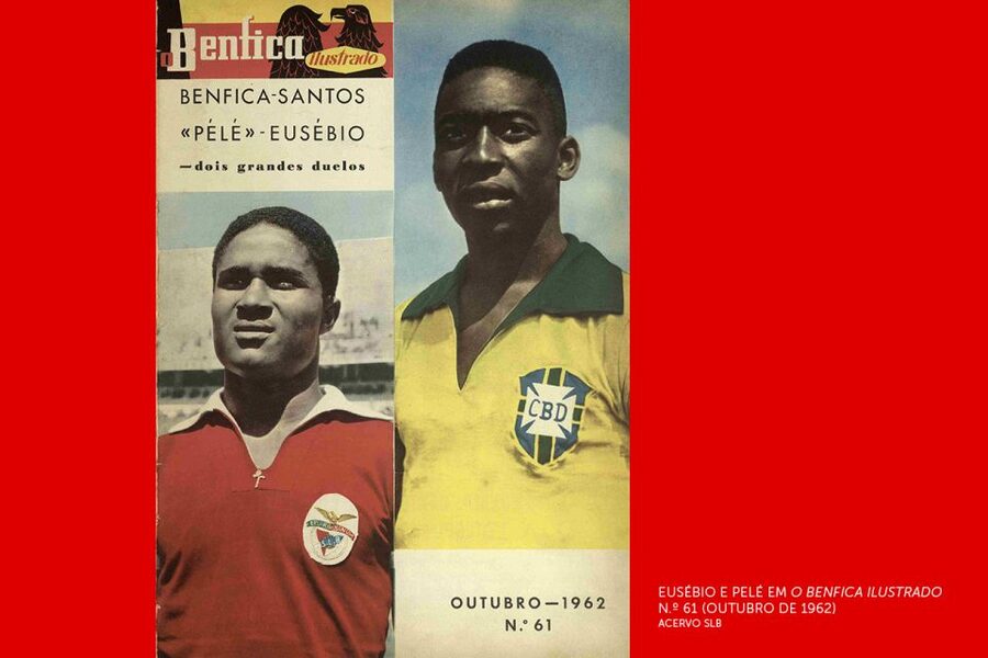 Lisbon: Customized Luz Stadium and Guided Museum Tour - How long should you allow?