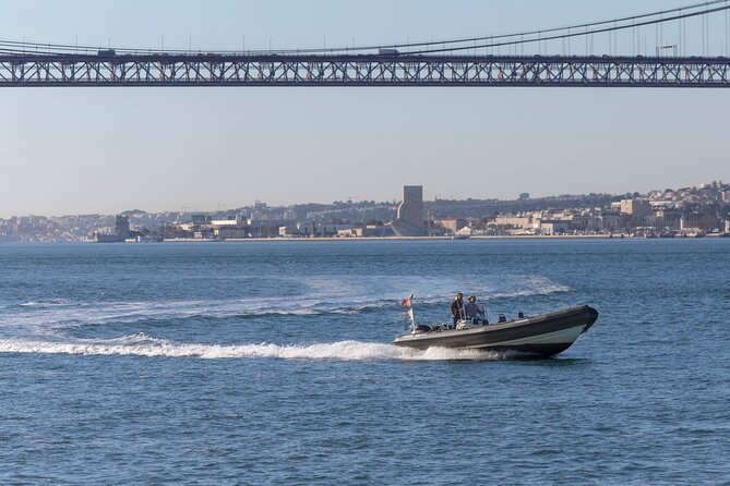 Lisbon: Dolphin Watching with a Marine Biologist - Ocean Safari - How much value do you get for $62.88?