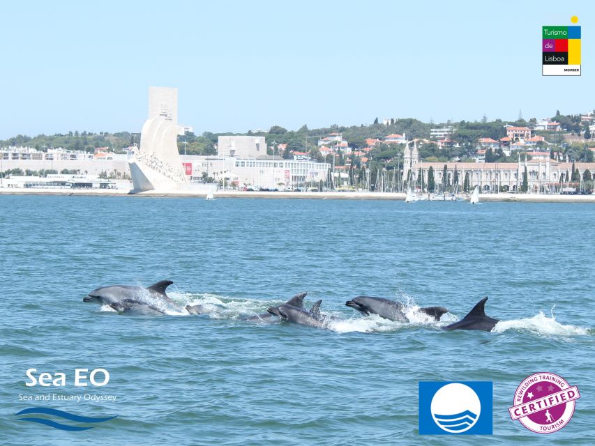 Lisbon: Dolphin Watching with Marine Biologist - What to Bring for a Three-Hour Sea Trip