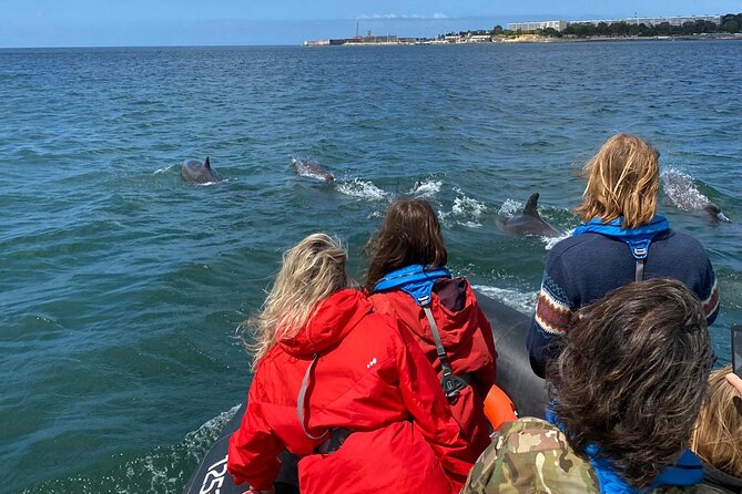 Lisbon: Dolphin Watching with Marine Biologist - Small Group - Fort of São Lourenço do Bugio from the boat