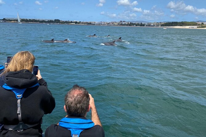 Lisbon: Dolphin Watching with Marine Biologist - Small Group - Crossing the Tagus from Doca de Santo Amaro