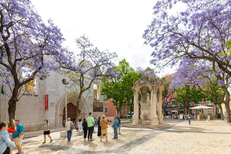Lisbon: History, Stories and Lifestyle Walking Tour - Portas do Sol and the first look at Alfama