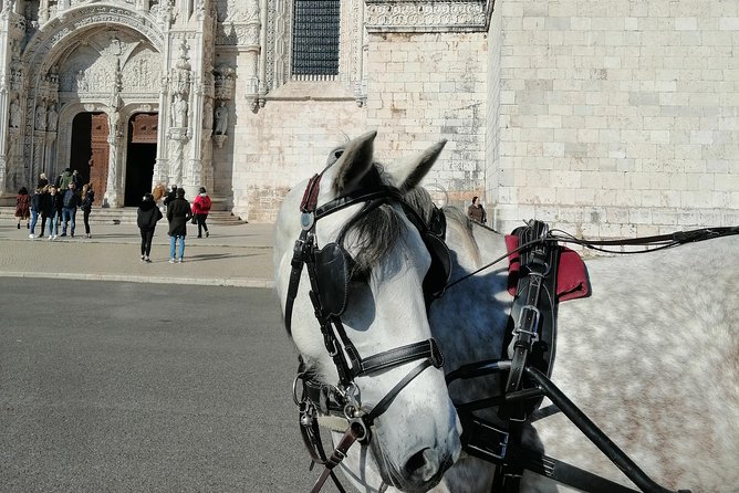 Lisbon Layover - Pastéis de Belém is the edible highlight