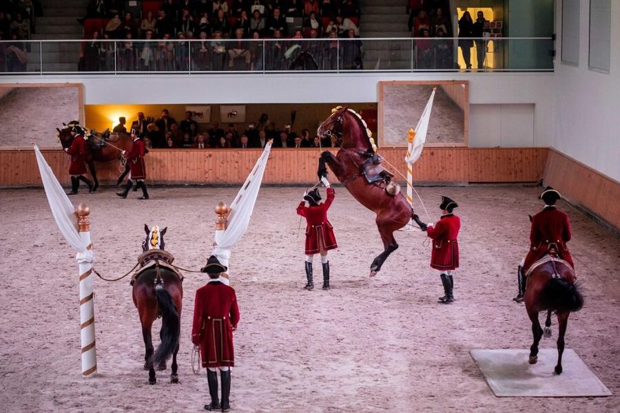 Lisbon: Morning of Equestrian Art with Lusitano Horses - Why Lusitano Training Is the Main Event