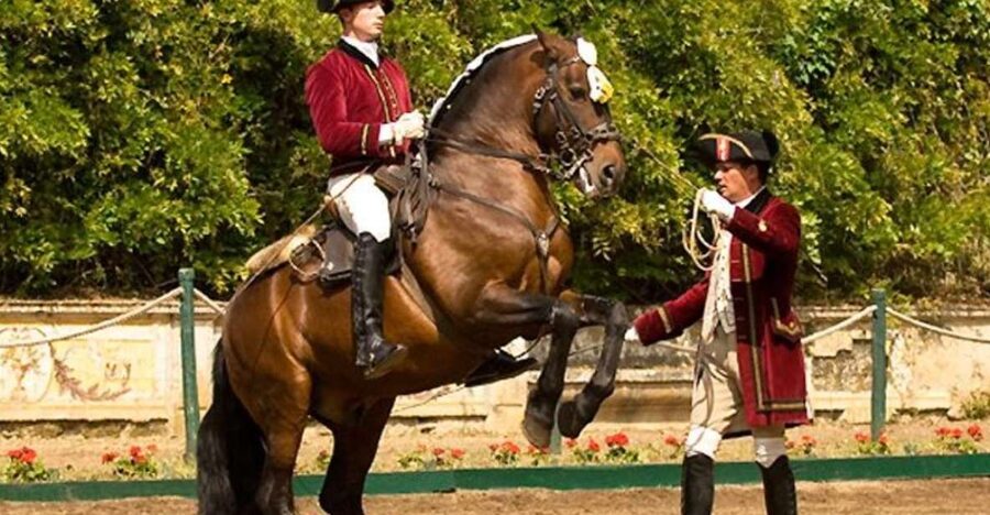 Lisbon: Morning of Equestrian Art with Lusitano Horses - Starting in the Nora Patio