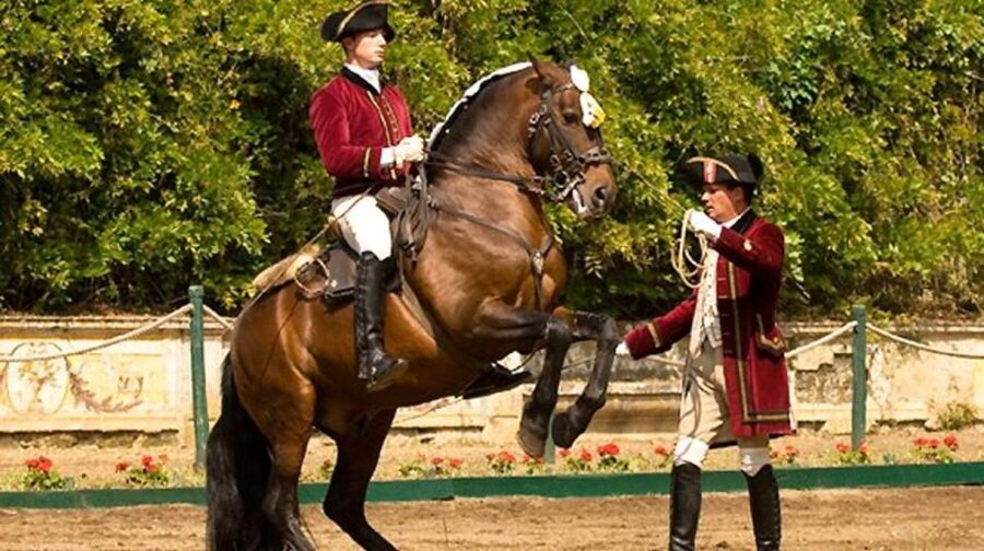 Lisbon: Morning of Equestrian Art with Lusitano Horses - Watching the 11 a.m. Warm-Up