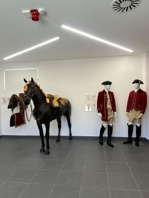Lisbon: Morning of Equestrian Art with Lusitano Horses - Is $17 Good Value in Lisbon?