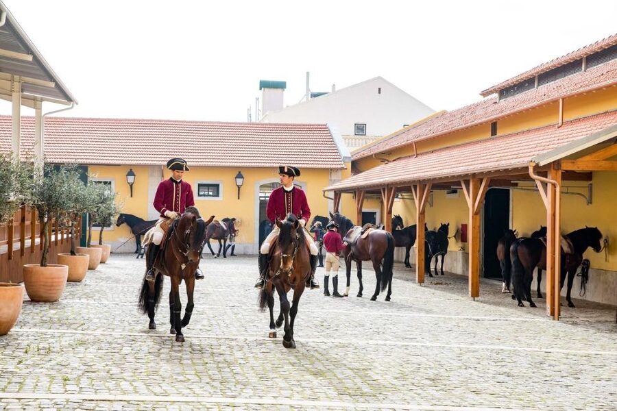 Lisbon: Morning of Equestrian Art with Lusitano Horses - Ticket Instructions That Really Matter
