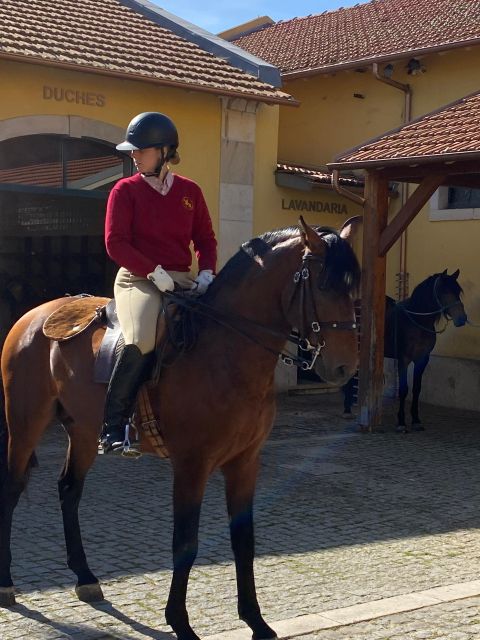 Lisbon: Morning of Equestrian Art with Lusitano Horses - Who Will Enjoy This Morning Most?