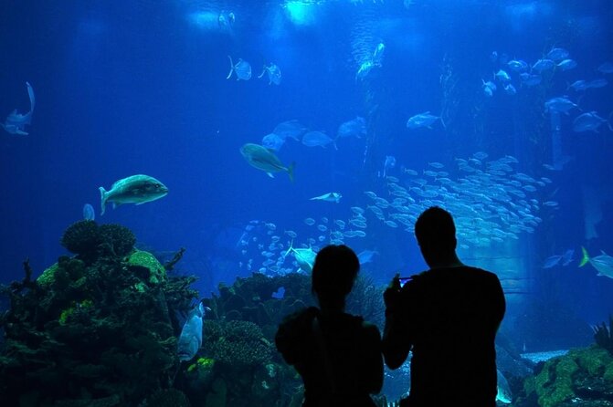 Lisbon Oceanario: Aquarium Entrance Ticket - The five-million-liter heart of Lisbon Oceanarium