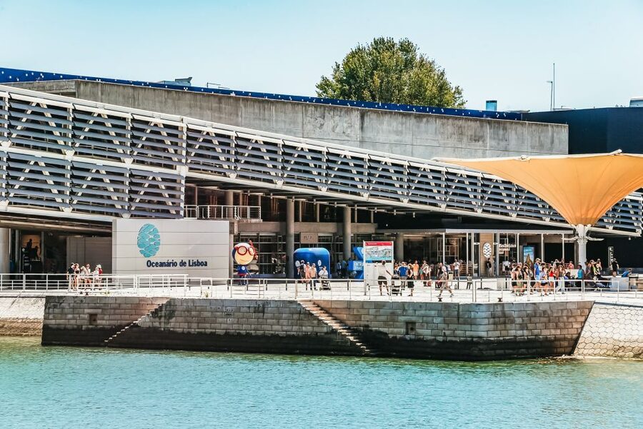 Lisbon: Oceanário de Lisboa Entrance Ticket - The temporary exhibitions add another layer