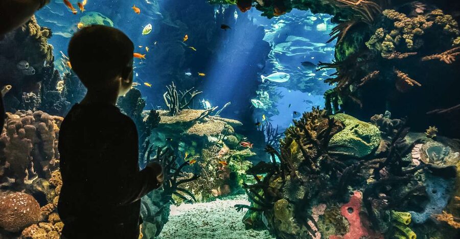 Lisbon: Oceanário de Lisboa Entrance Ticket - How long should you spend inside?