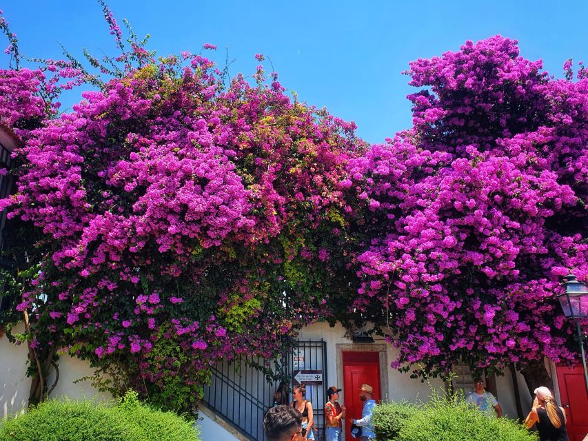 Lisbon: Old Town TukTuk Tour and Scenic Viewpoints in Alfama - The National Pantheon and flea market