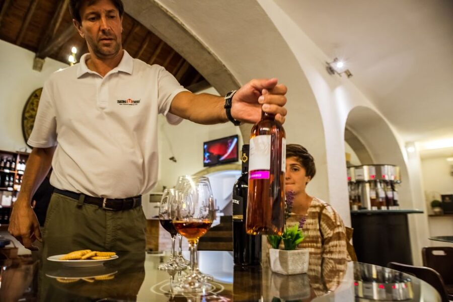 Lisbon Private Setúbal Region Wine Tasting Tour - Why Setúbal Makes a Better Wine Escape Than You Might Expect