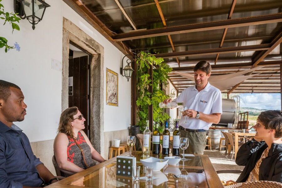Lisbon Private Setúbal Region Wine Tasting Tour - José Maria da Fonseca: The Historic Anchor