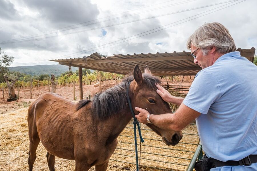 Lisbon Private Setúbal Region Wine Tasting Tour - Quinta do Alcube and the Agricultural Side of Wine