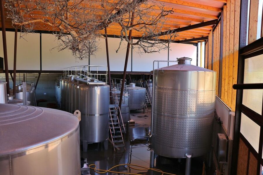Lisbon Private Setúbal Region Wine Tasting Tour - Palmela and the Family Feel of Assis Lobo
