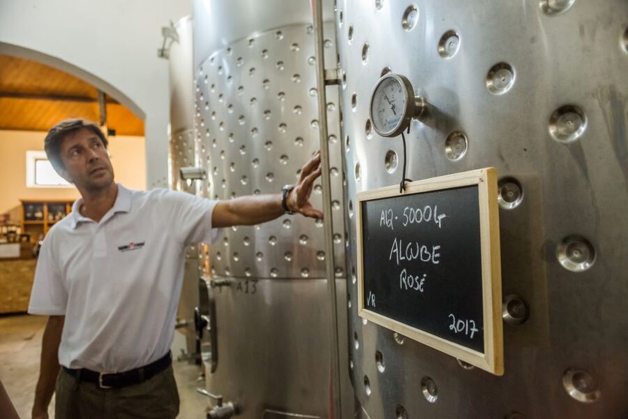 Lisbon Private Setúbal Region Wine Tasting Tour - The Setúbal Regional Mother House