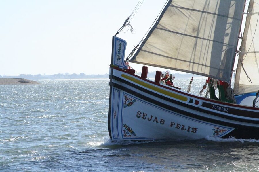 Lisbon: River Tagus Sightseeing Cruise in Traditional Vessel - What the live commentary adds