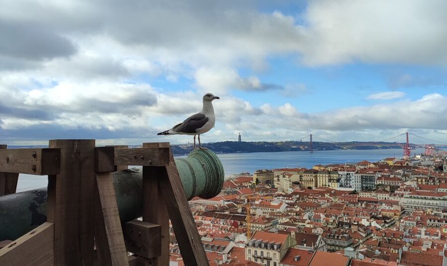 Lisbon: Saint George's Castle Entry Ticket and Guided Visit - Why Saint George’s Castle is worth your time