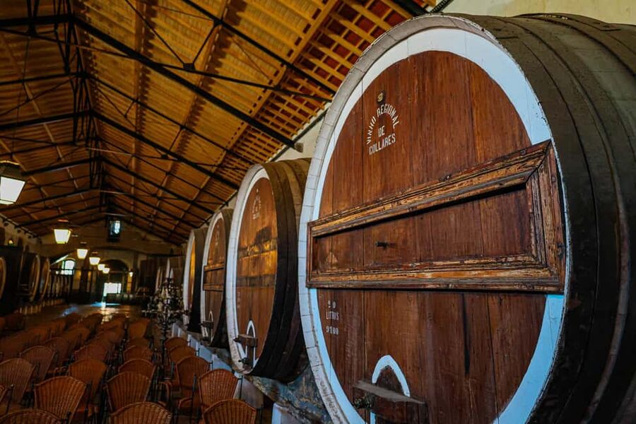 Lisbon: Sintra, Coast and Wine Small-Group Day Tour - Who should book this tour?